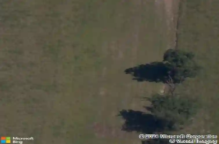 561 stoneseed st, centerton,  AR 72719