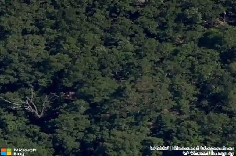 11631 sweet pea dr, rogers,  AR 72756