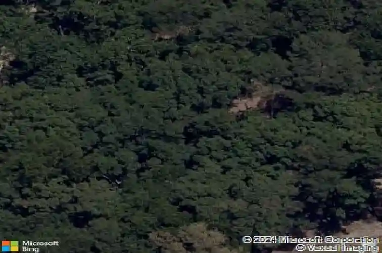 8775 falls hollow rd, rogers,  AR 72756