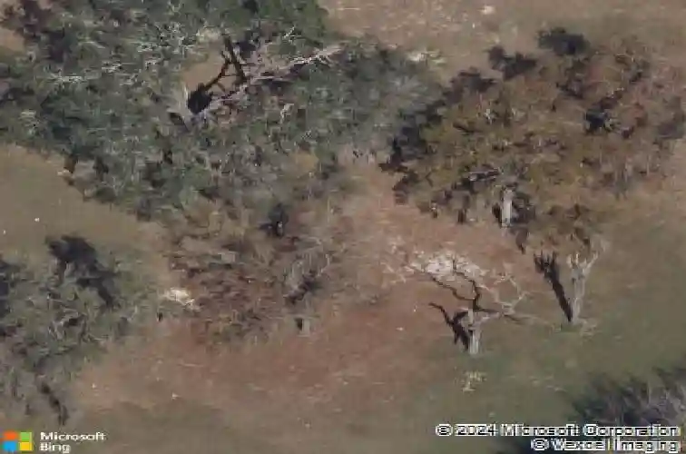 1439 gopher loop, tarpon springs,  FL 34689