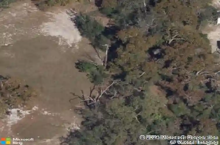 1463 gopher loop, tarpon springs,  FL 34689