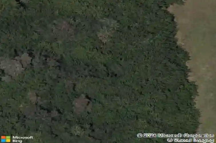 11322 beach walk way ne, saint petersburg,  FL 33716