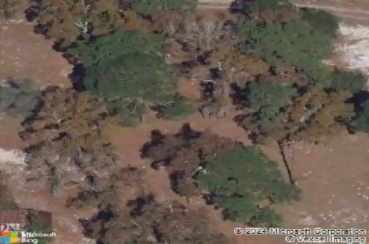 1499 gopher loop, tarpon springs,  FL 34689