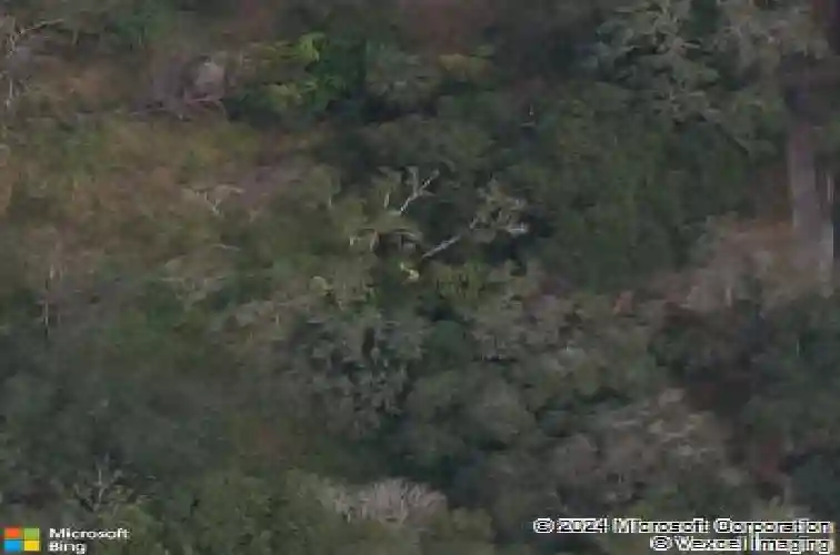 519 elm st, safety harbor,  FL 34695