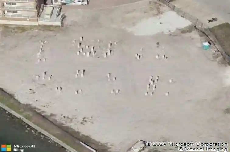 48 bayview ct s
                                ,Unit A, saint petersburg,  FL 33711