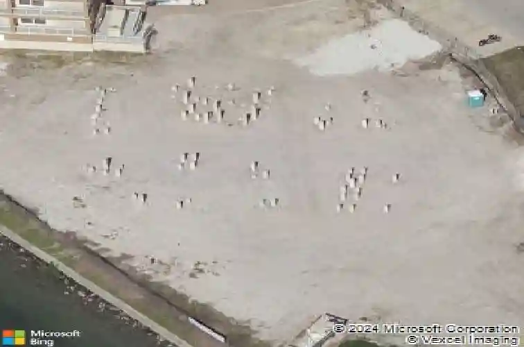 48 bayview ct s #a
                                ,Unit Unit A, saint petersburg,  FL 33711