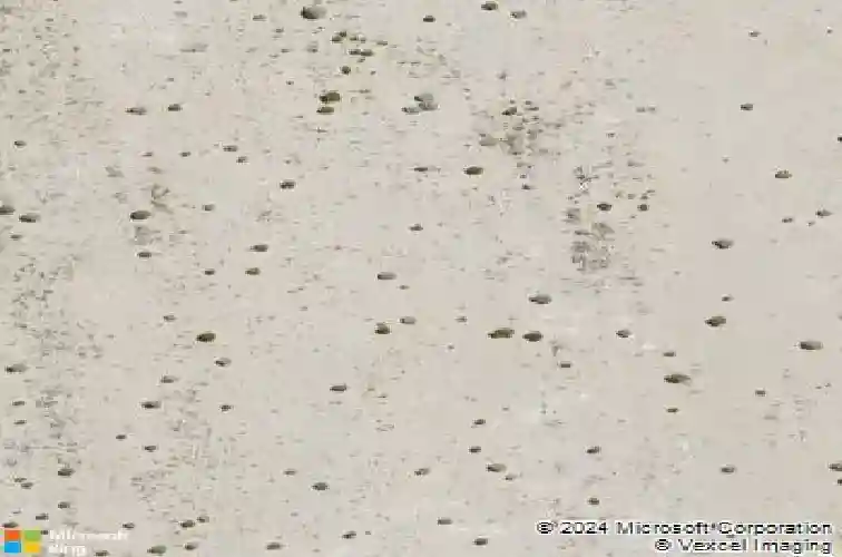 2024 forest grove ln, sparks,  NV 89436