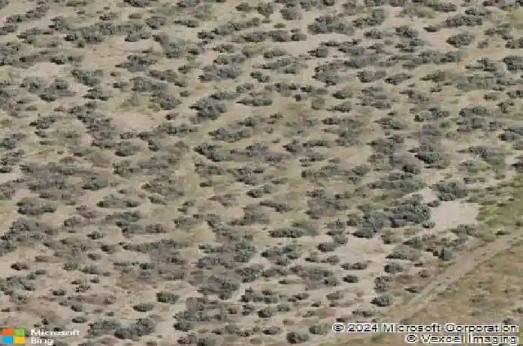 554 fox branch dr, sparks,  NV 89441