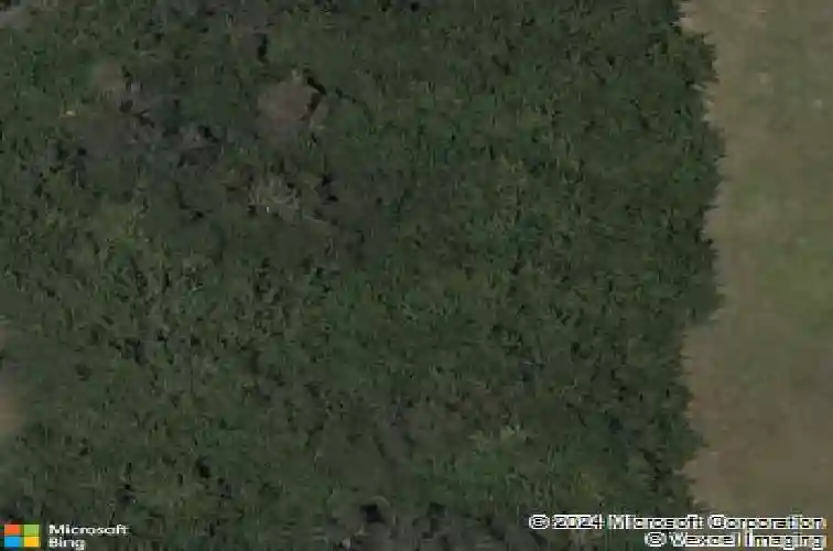 11282 beach walk way ne, saint petersburg,  FL 33716