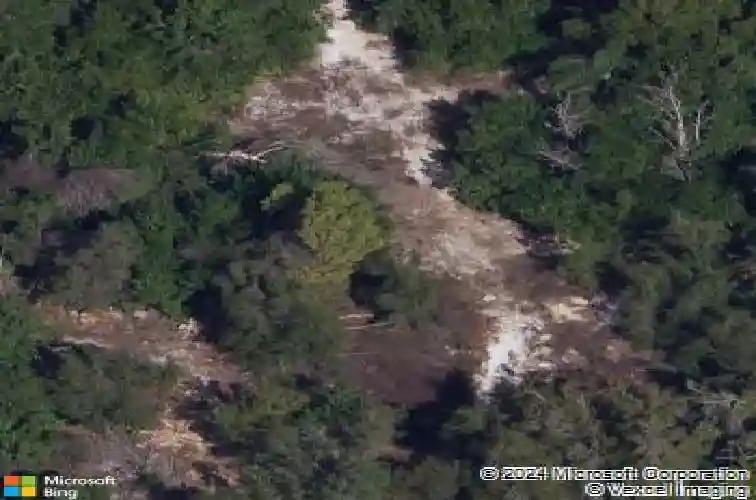 2644 leafwing ct, palm harbor,  FL 34683