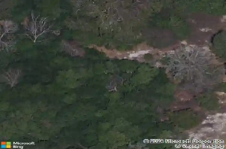 2693 leafwing ct, palm harbor,  FL 34683