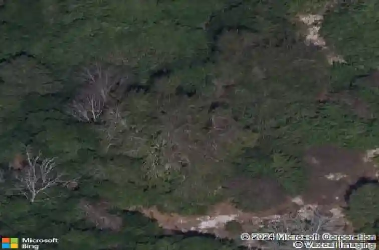 2725 leafwing ct, palm harbor,  FL 34683