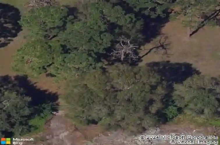 2953 pier pointe lane, clearwater,  FL 33760