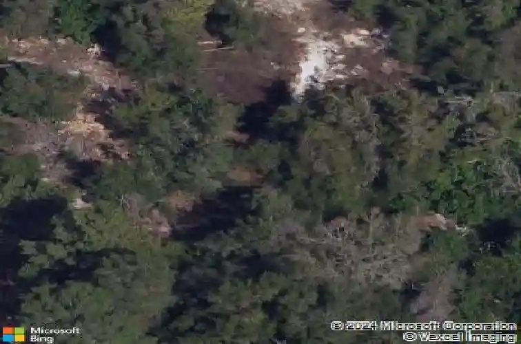 2612 leafwing ct, palm harbor,  FL 34683