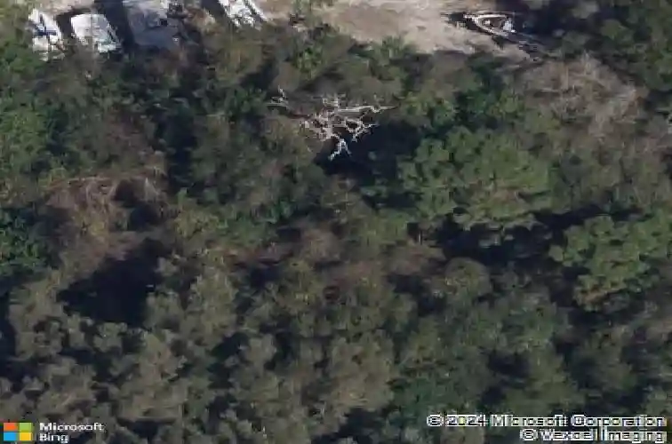 1958 trailside dr, palm harbor,  FL 34683