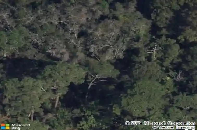 1897 trailside dr, palm harbor,  FL 34683