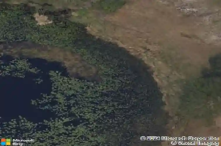 2587 ocean breeze ln, clearwater,  FL 33761