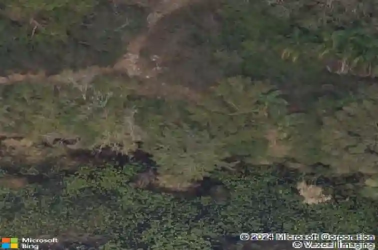 2581 ocean breeze ln, clearwater,  FL 33761