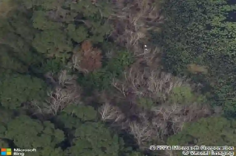 2524 cobalt shores ln, clearwater,  FL 33761