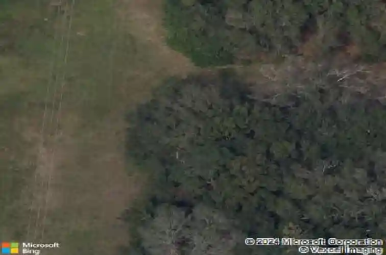 2516 cobalt shores ln, clearwater,  FL 33761