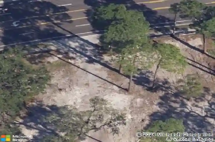 844 oak bend ln, dunedin,  FL 34698