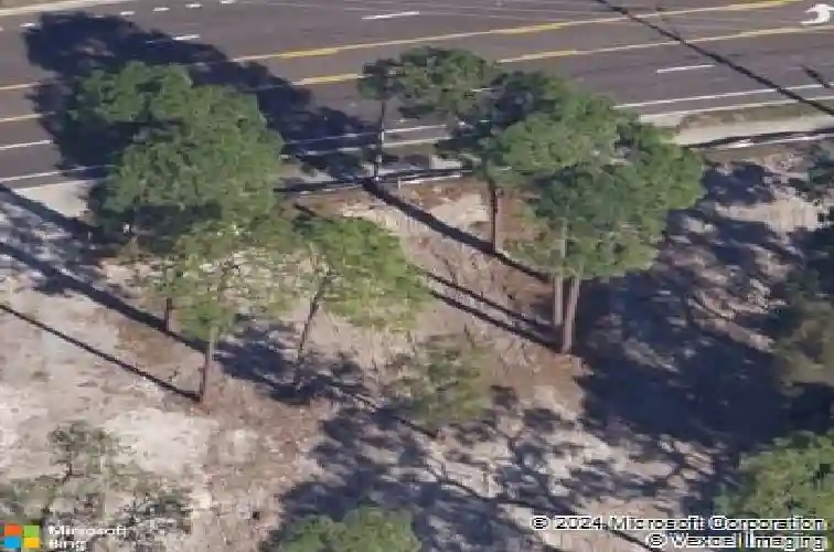 848 oak bend ln, dunedin,  FL 34698