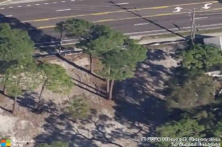 850 oak bend ln, dunedin,  FL 34698