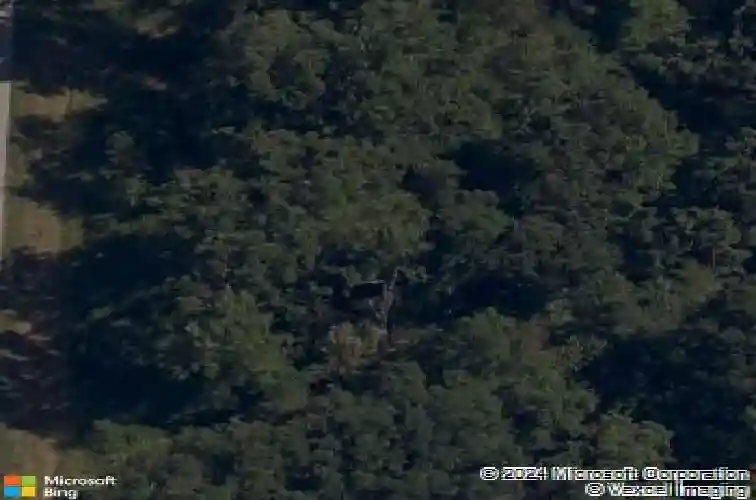 911 belhaven rd, centerton,  AR 72719