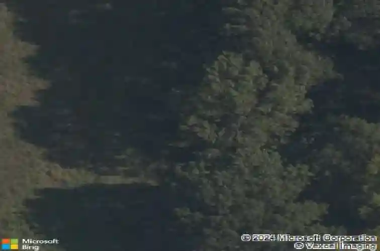 8602 w forktailed trce, bentonville,  AR 72713