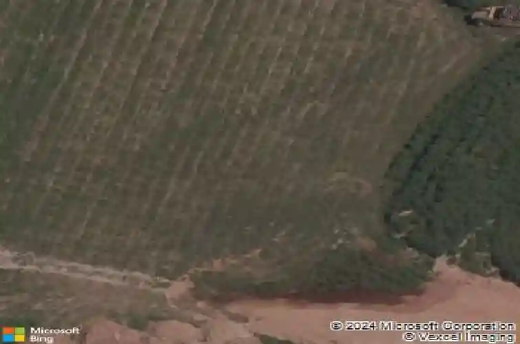 650 braeburn ct, bentonville,  AR 72712