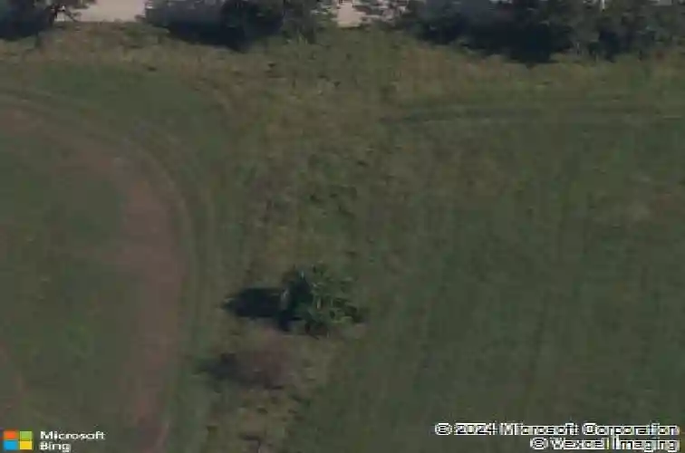 210 palm st, bentonville,  AR 72713