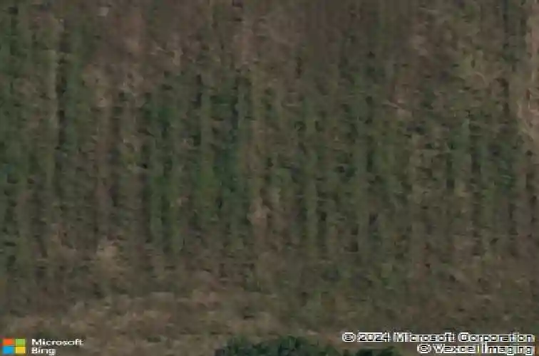 1251 bootleg rd, bentonville,  AR 72713