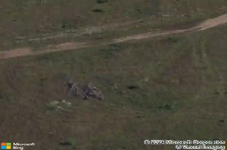 1160 red maple st, centerton,  AR 72719