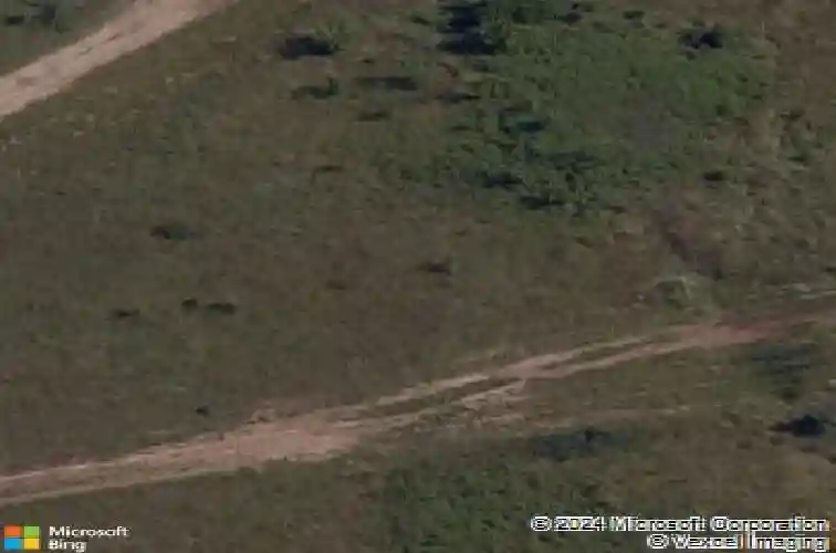 1230 red maple st, centerton,  AR 72719