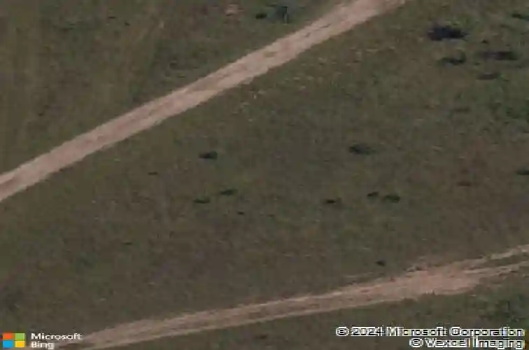 1240 red maple st, centerton,  AR 72719