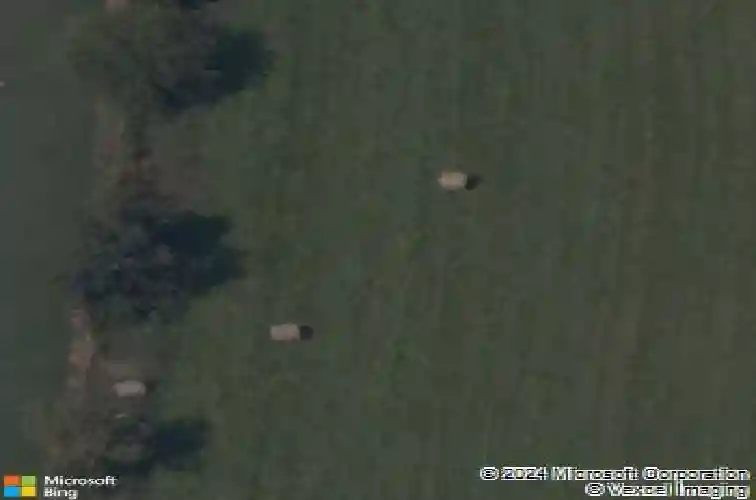 300 wilson blvd, pea ridge,  AR 72751