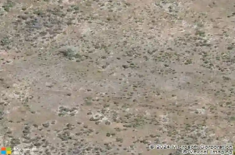 1693 boundary peak st, carson city,  NV 89701