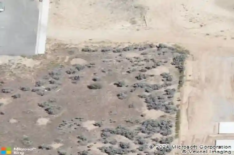 7032 wheeler peak dr, carson city,  NV 89701