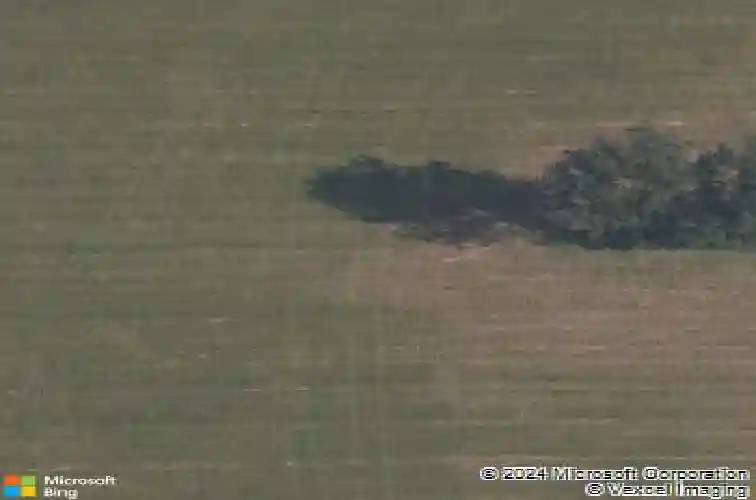 214 coffee st, pea ridge,  AR 72751