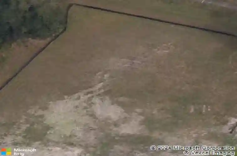 4390 tarpon lake blvd, palm harbor,  FL 34685