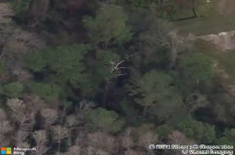 4445 lansbrook pkwy, palm harbor,  FL 34685