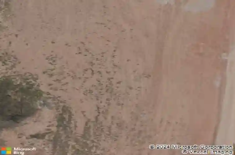 4302 s exeter dr, rogers,  AR 72758