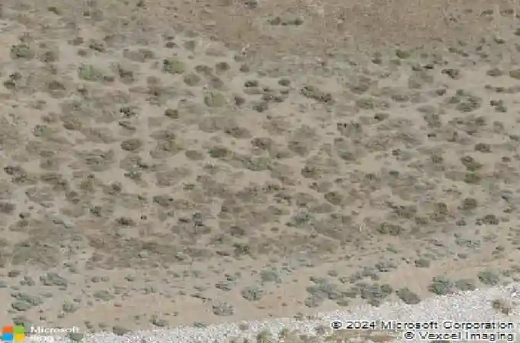 2447 tecumseh way, sparks,  NV 89436