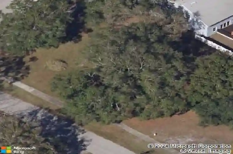 219 washington ave, oldsmar,  FL 34677