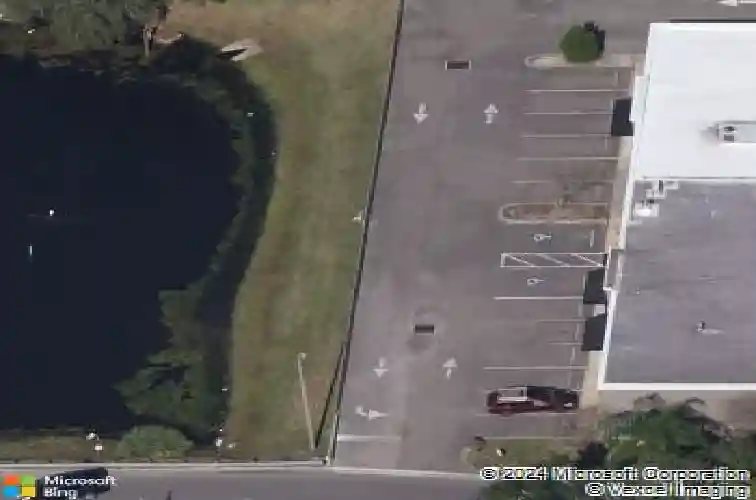  palm harbor,  FL 34684