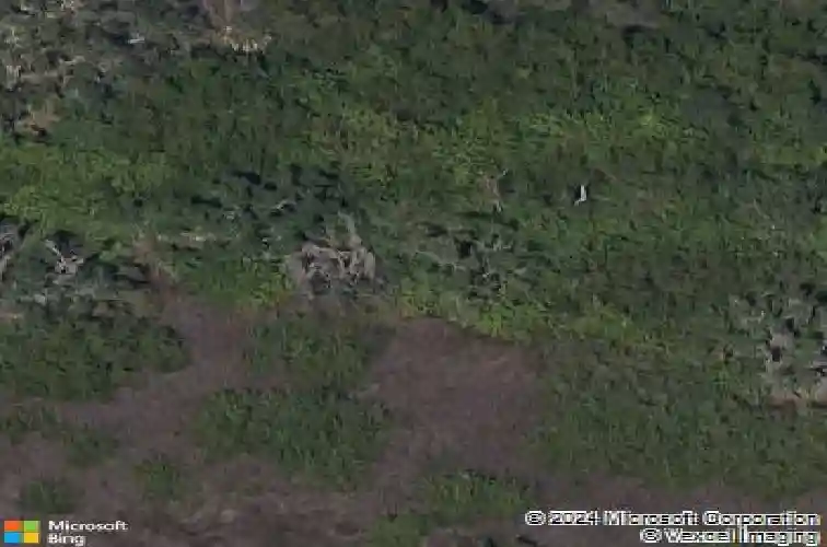 3100 bishop dr, safety harbor,  FL 34695