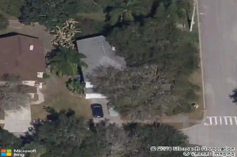 3697 fremantle dr, palm harbor,  FL 34684