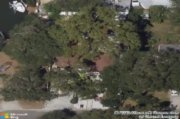  saint petersburg,  FL 33709