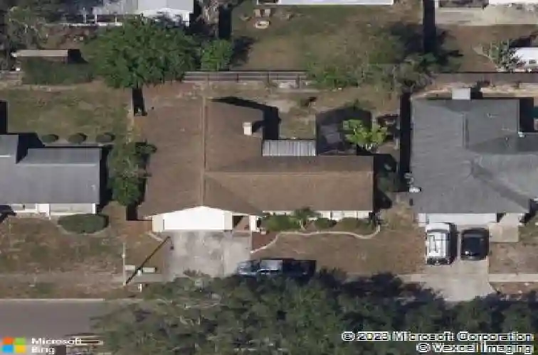  palm harbor,  FL 34684