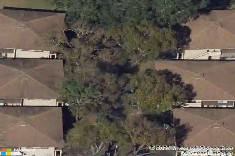 2909 lichen ln #a
                                ,Unit Unit A, clearwater,  FL 33760